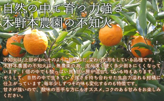 【栽培期間中農薬不使用】【先行受付】【数量限定】農園直送！愛媛県産不知火 10kg （2026年1月上旬頃より順次発送） IKTG008