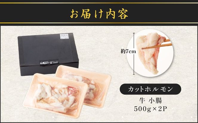 カットホルモン　K137-002