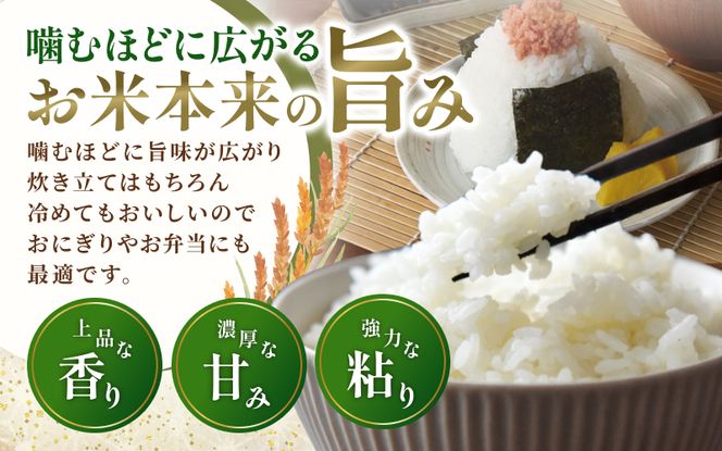 特別栽培米・伊賀米コシヒカリ 5kg【tuli0001A】