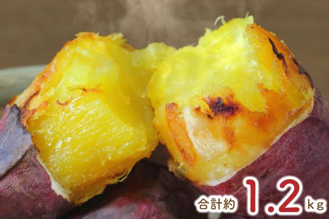★少し大きめサイズ★熟成紅はるか冷凍焼き芋約1kg＋おまかせ品種さつまいも 合計約1.2kg｜さつまいも サツマイモ さつま芋 焼き芋 やきいも 冷凍 冷凍焼き芋 紅はるか 茨城県 行方市(EY-3)