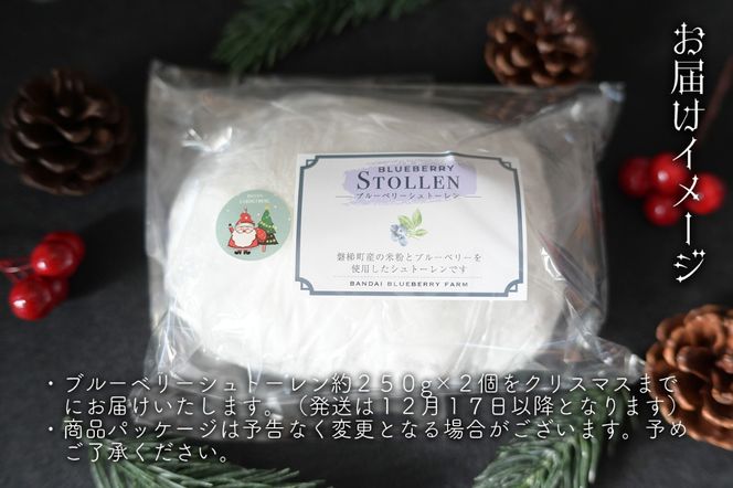 【クリスマスまでに発送】【予約】ブルーベリー シュトーレン （小） 250g前後×2個　※令和8年12月17日より発送