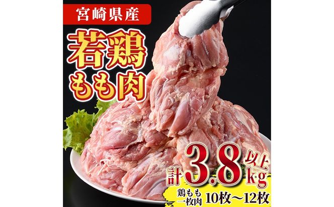 y{茧쒬z{茧Y{(v3.8kgȏE{ꖇ250`350g×10`12)   Ƃ { {  Y {茧Y g g 炠 Ⓚ ֗ yt[YzyNK-03z