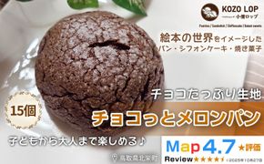 1171.【鳥取県産 チョコたっぷり生地】チョコっとメロンパン 15個 313726_BD052