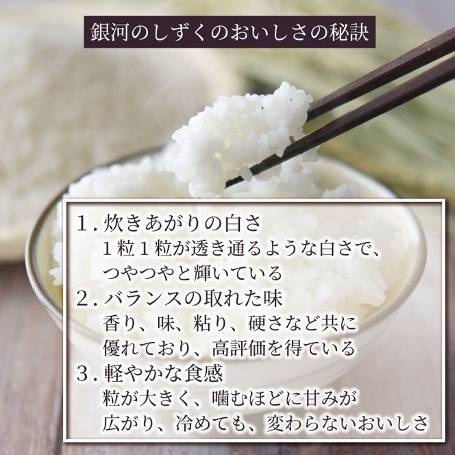 【9ヶ月定期便】岩手県産 一等米・銀河のしずく（精米）10kg（5kg×2袋）×9回[56500599_2]