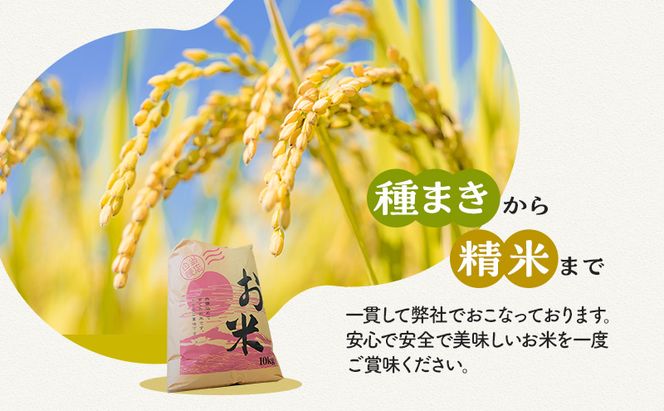 【令和5年福井県若狭町産】コシヒカリ（1等米）精米10kg お米ブランド米 白米 ご飯 おにぎり お弁当 和食 粘り もちもち 甘み 安心 安全