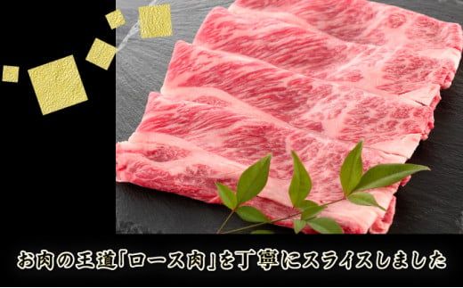 500g【佐賀牛】ローススライス（すき焼き・しゃぶしゃぶ） D-613