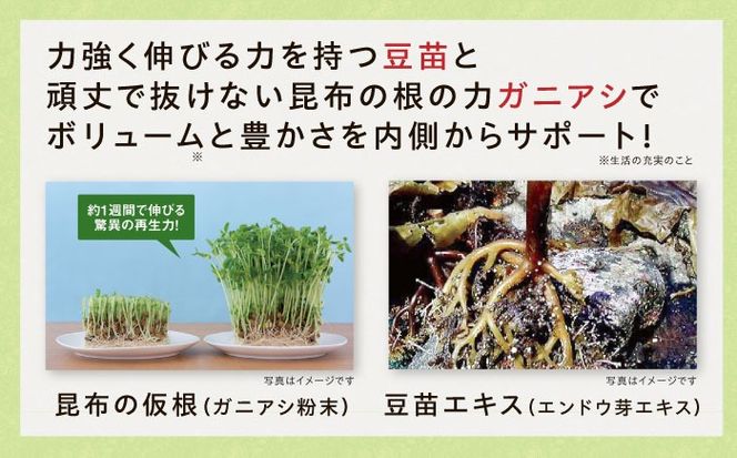 【3箱入　90日分】いとびはつ はぐくむ青汁 糸島市 / 株式会社ピュール[AZA265] 青汁 イソフラボン クロレラ 乳酸菌 食物繊維 ミネラル ビタミン