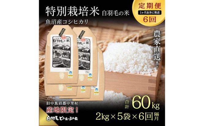 【通年受付】≪令和8年産≫【定期便/1ヶ月おき全6回】魚沼産コシヒカリ 特別栽培「白羽毛の米」精米(2kg×5袋)×6回 60kg お米 白米 ご飯