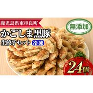 【0095119a】鹿児島黒豚生餃子セット(12個入×2パック・計24個)黒豚 豚肉 ぶた肉 餃子 ギョウザ ぎょうざ 惣菜【鹿児島ますや】