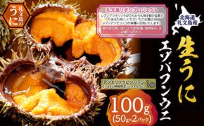 【礼文島リボンプロジェクト】北海道 礼文島産 採れたて ミョウバン不使用 エゾバフンウニ 塩水パック 100g(50g×2個)ピンバッジ付［株式会社やまじょう］【 うに ウニ 雲丹 生うに 塩水うに 自然保護 寄付 海鮮 】