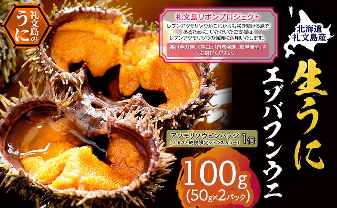 【礼文島リボンプロジェクト】北海道 礼文島産 採れたて ミョウバン不使用 エゾバフンウニ 塩水パック 100g(50g×2個)ピンバッジ付［株式会社やまじょう］【 うに ウニ 雲丹 生うに 塩水うに 自然保護 寄付 海鮮 】