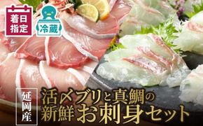 延岡産活〆ブリと真鯛の新鮮お刺身セット　N019-YB824