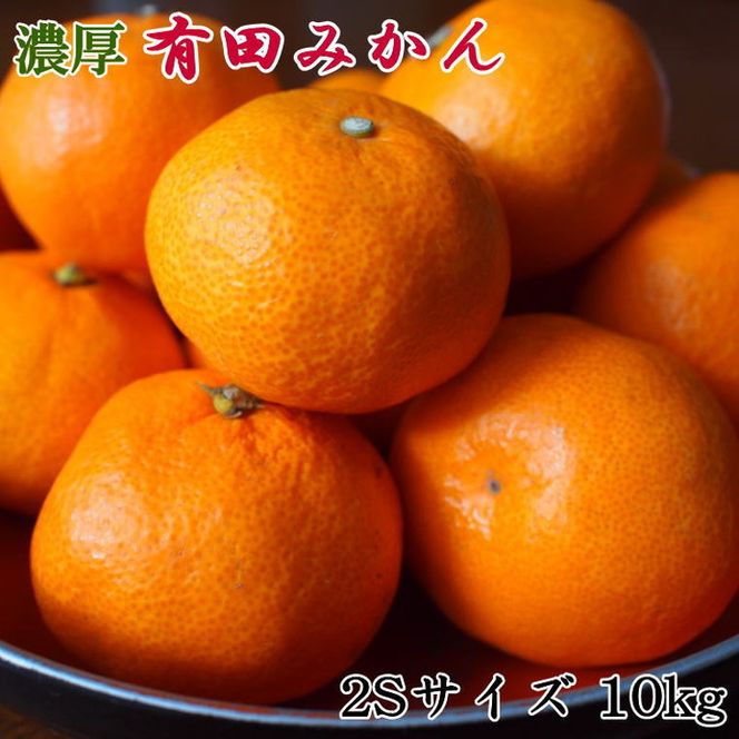 【先行予約】【産直・秀品】 和歌山 有田みかん 10kg（2Sサイズ）