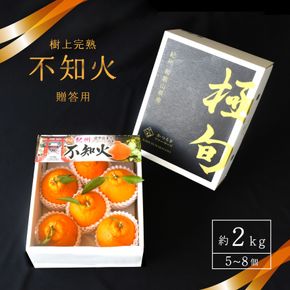 【先行予約】【数量わずか】樹上完熟しらぬい（不知火） 5個~8個 秀品 2027年2月末～2027年3月末頃に順次発送予定（お届け日指定不可）/ 和歌山 みかん しらぬい 不知火 フルーツ 柑橘 蜜柑 果物 くだもの【kgr014】