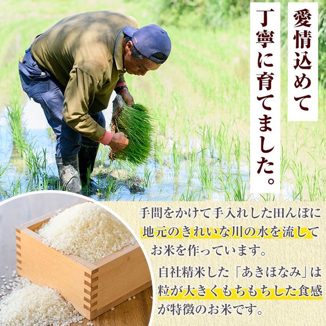 ＜先行予約受付中！2024年11月以降順次発送予定＞お米食べ比べセット(あきほなみ・ひのひかり、各5kg) 国産 白米 自社精米 ご飯 おこめ おにぎり お弁当 あきほなみ ひのひかり 【谷口ファーム】a-14-55