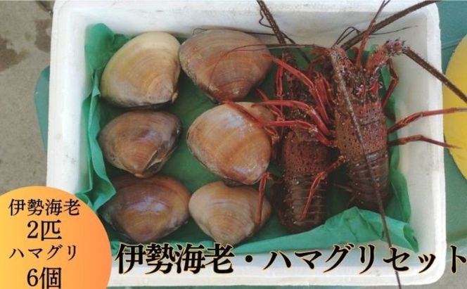 伊勢海老 ハマグリ 茅ヶ崎の幸 豪華 セット 新鮮 朝どれ 烏帽子産 漁師からそのままお届け　 魚貝類 