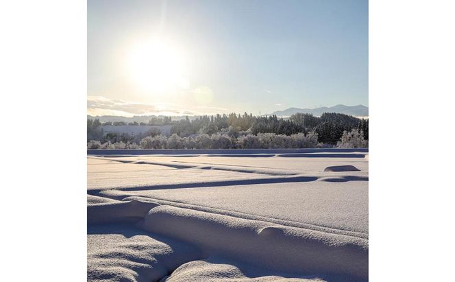 令和7年産！魚沼産コシヒカリ【農家直送!】 5kg×1袋 お米 米 コメ 