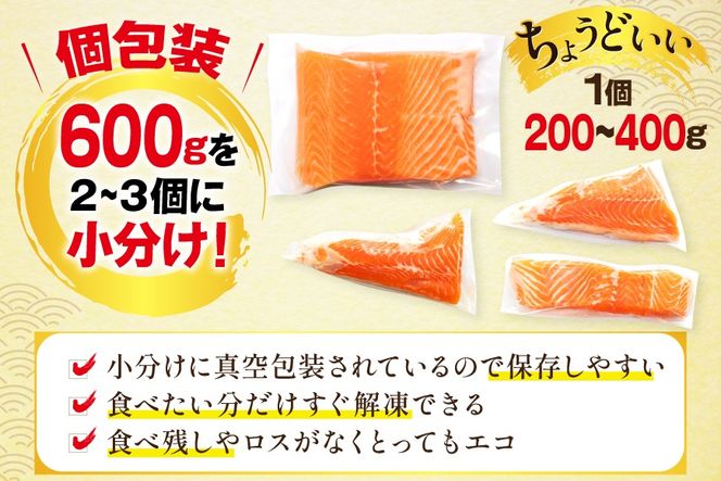 訳あり ノルウェー産 アトランティック サーモン 600g 柵 おさしみ用 無添加 個包装 [足利本店 宮城県 気仙沼市 20565614] 鮭 さけ サケ サーモン 生食用 おつまみ おかず 冷凍 鮮魚 小分け アトランティックサーモン アトランサーモン 真空包装