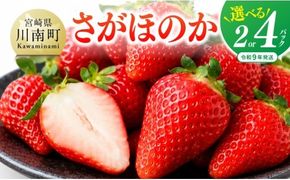 ※内容量が選べる※【令和9年発送】さがほのか 【 国産 イチゴ 苺 果物 くだもの 期間限定 数量限定 】 [B04601 B04602 B04603]