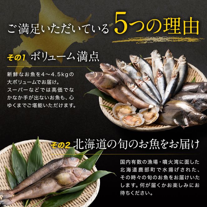 【2026年9月下旬発送】北海道 冷凍鮮魚セット 最大4.5kg 「漁師応援プロジェクト！」 下処理済み 4～5種 ホタテが必ず入るおまかせ セット 鮮魚 魚 魚介 訳あり