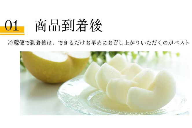 BH004 【令和9年度出荷分】【数量限定】 幸水梨 約2.5kg（5玉～8玉）[新鮮 農家直送 夏の味覚 フルーツ 贅沢宝庫 長崎県 島原市]