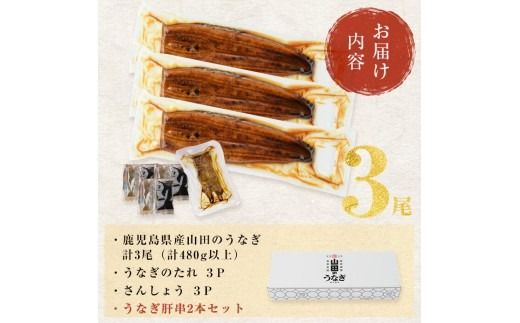 【無薬養鰻】 鹿児島産 山田のうなぎ ＜計480g以上＞（160g以上×3尾） 肝串セット 【ポータル限定】 a6-062-km