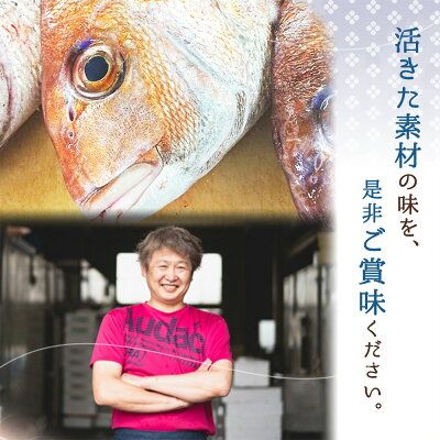 鮮魚問屋の 和歌山県産 天然鯛の 西京漬 6パック_AD6005n
