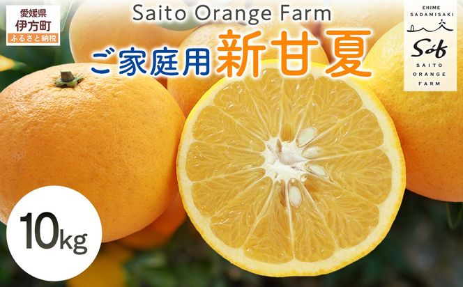 【先行予約】Saito Orange Farm ご家庭用 新甘夏10kg （2027年3月下旬頃より順次発送予定）IKTAQ030