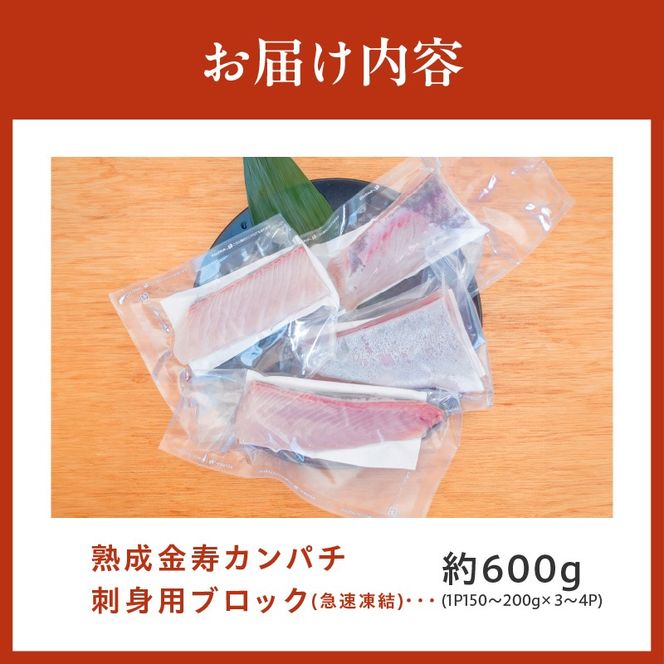 熟成金寿カンパチ刺身用ブロック600ｇ(急速凍結) N015-YA856
