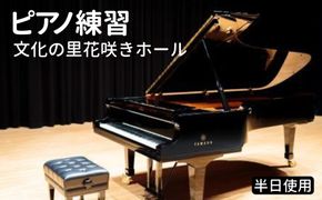 ピアノ練習  文化の里花咲きホール半日使用 [No.394]