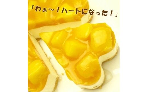 お誕生日ケーキ　マンゴー レア チーズケーキ 5号 4-6人分　パティスリー天使のおくりもの ※離島への配送不可