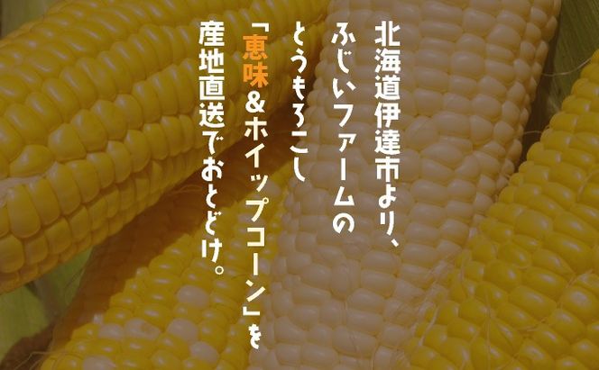  ＜先行予約＞北海道産 とうもろこし(恵味/ホイップコーン) 計10本【55250517】トウモロコシ とうきび イエロー ホワイト コーン スイートコーン 旬 野菜 ふじいファーム 北海道 伊達市