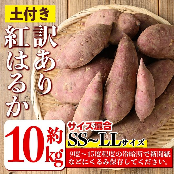 isa877 《訳あり》熟成紅はるか(約10kg・SS～LLサイズ混合) 訳あり さつまいも 紅はるか 鹿児島 生芋 完熟 長期熟成 土付き べにはるか サツマイモ 焼き芋に 【いさ工房】
