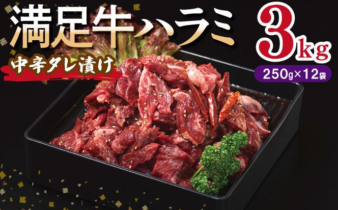 y{򍲖szG3412 yn~zh^Ђ v3kg yt n~  Ă ȒP BBQ  250g×12Pz