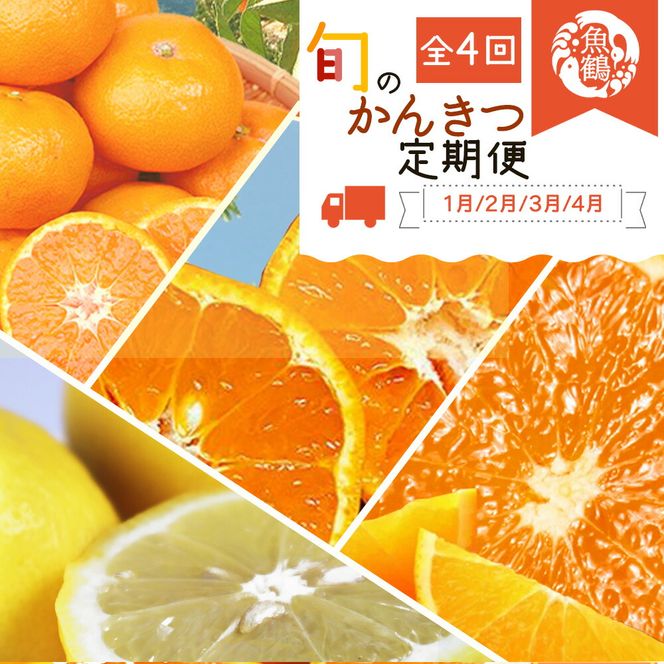 【定期便 全4回】紀州和歌山産旬の柑橘セット（みかん・ポンカン・レモン・清見）_G60-T48