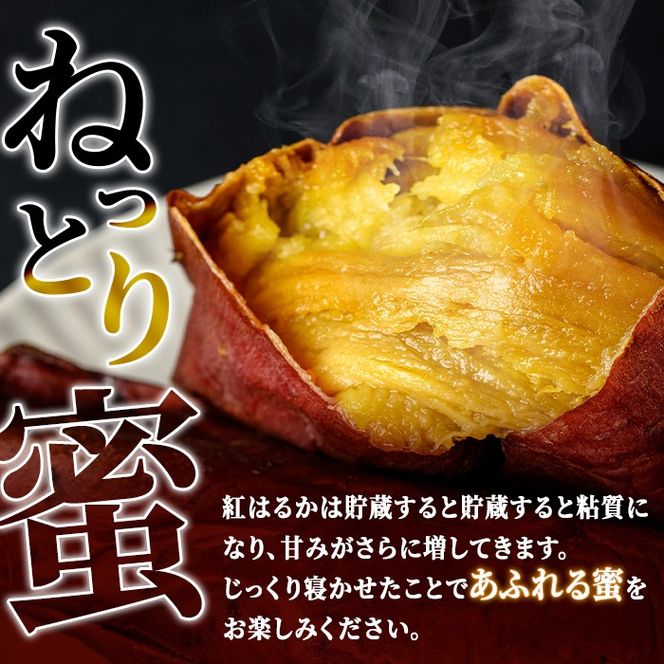 isa741 ふみおじいちゃんのやきいも(紅はるか・計3.0kg) 冷凍 パック 小分け サツマイモ 焼き芋 天然スイーツ 焼芋 紅はるか 【いさ工房】