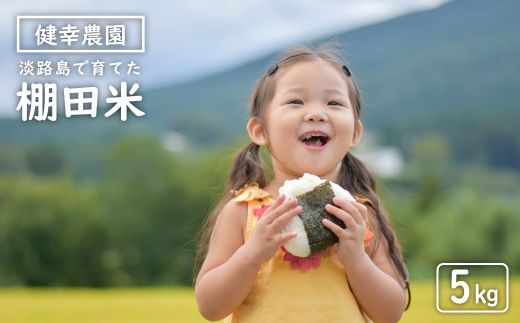 健幸農園の棚田米 5kg 白米 農家直送