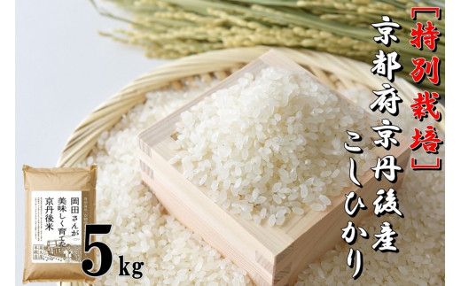 特別栽培　京都府京丹後市産こしひかり 岡田さんが美味しく育てた京丹後米 5kg　NC00007