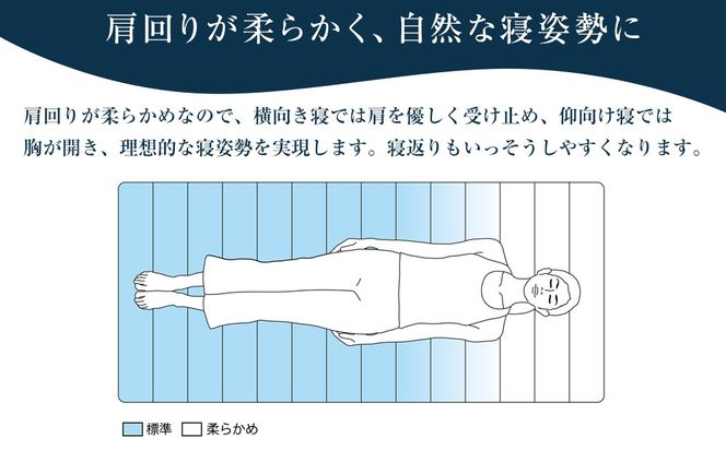 スマートZ01　特別仕様 シングル 232238_T233