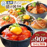 漬け丼6種セット 真鯛・ブリ・カンパチ・マグロ・サーモン・イカ 1食80g×計90P 3回定期便 タイ 鰤 鮪 海鮮丼 刺身 海鮮 魚介 魚 お茶漬け 炊き込みご飯 惣菜 おかず 冷凍 配送