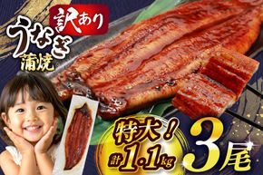 うなぎ 蒲焼 特大サイズ 肉厚 約 1.1kg 3尾 タレ・山椒付 茶葉蒸し [大黒物産 福岡県 宇美町 um40bak830001] 鰻 ウナギ 小分け うなぎ蒲焼 鰻蒲焼き 訳あり 蒲焼き かば焼き 茶葉蒸しうなぎ 真空パック 個包装 冷凍 unagi