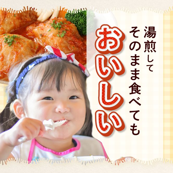 <2か月に1回　計3回　定期便>国産キャベツと豚肉のロールキャベツ（4P入り）［022J17-T］