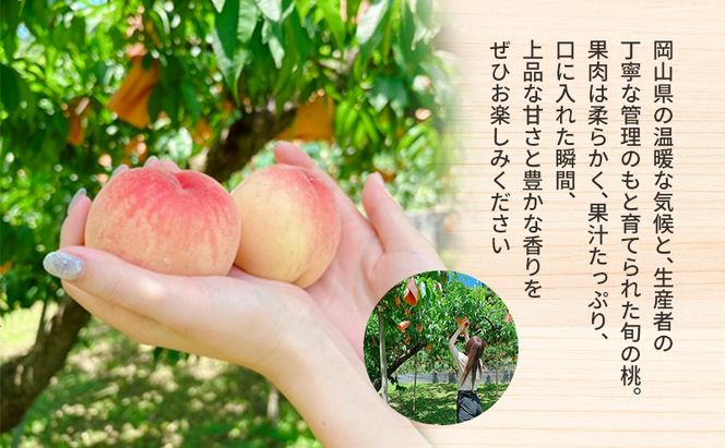 岡山県産 白桃 約2kg(6個～8個) 果物 フルーツ 桃 もも モモ 国産 岡山