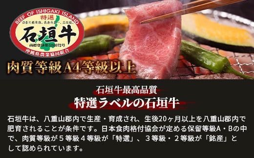 石垣牛特選焼肉1kg（いしなぎ屋）【 特選肉 肉 高級 黒毛和牛 和牛 牛 】AB-17