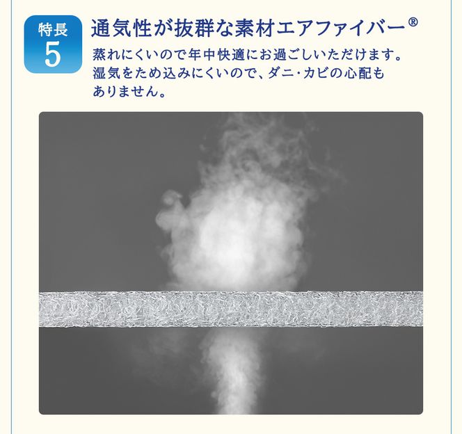 エアウィーヴ マットレストッパー1.0 セミダブル マットレスパット マットレス コンパクト オールシーズン対応 ぐっすり ホテル 安眠 快眠 健康 高反発 高品質 腰 肩 熟睡 寝心地 新生活 洗える 洗濯可 送料無料 体圧分散