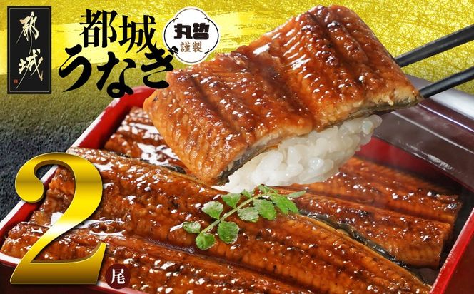 y{茧ssz{茧炿̂Ȃ2300gȏREt_13-M301