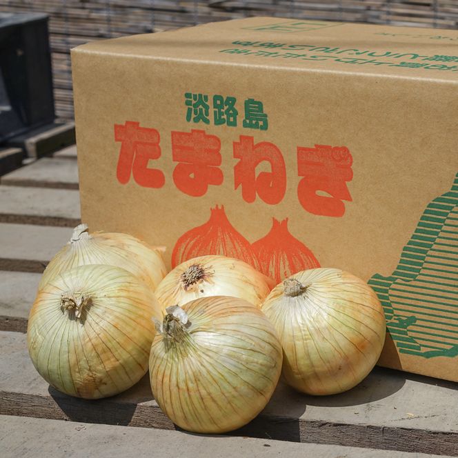 【定期便】名手農園 淡路島特産玉ねぎ10kgの12ヶ月コース 玉ねぎ