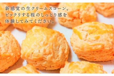 【 自宅用 】明太 チーズ スコーン 12個 セット 『 ふくのや 』の 明太子 使用 《糸島》【キナフク】焼き菓子 焼菓子 洋菓子 スイーツ パン [AFA009]