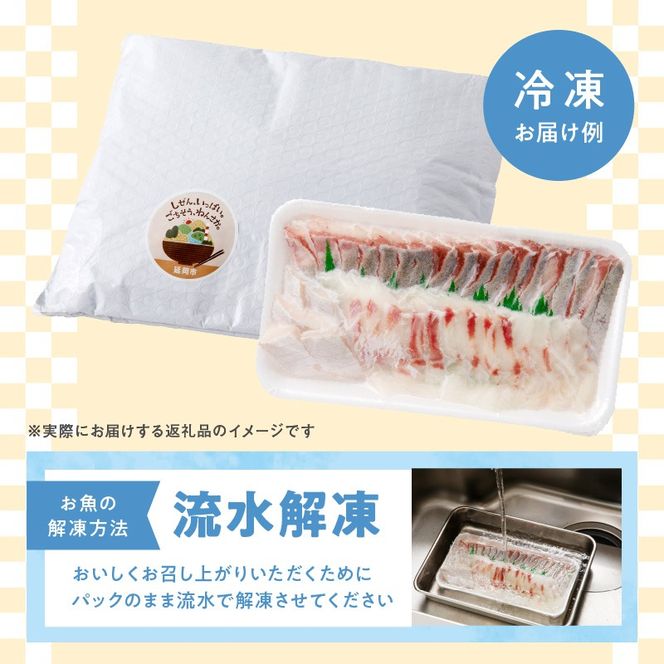 【単月お届け】大和海商　大和の高級お刺身　6人前　冷凍　N072-YA4412_2