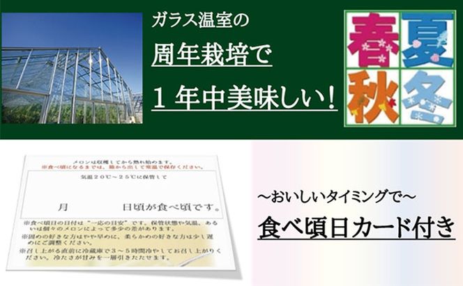 数量限定 メロン 静岡 『クラウンメロン 富士等級 2玉』 【桐箱入】 マスクメロン 果物 フルーツ ギフト 贈答 高級 デザート おやつ 